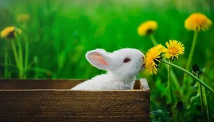 穿梭在指尖的宇宙：选择一款游戏平台，开启你的游戏新纪元